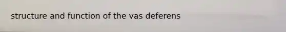 structure and function of the vas deferens