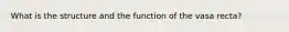 What is the structure and the function of the vasa recta?