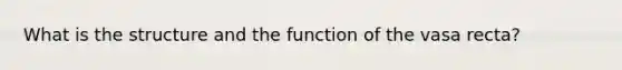 What is the structure and the function of the vasa recta?