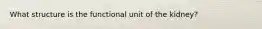 What structure is the functional unit of the kidney?