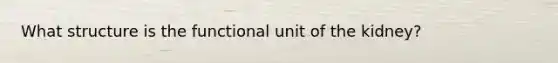 What structure is the functional unit of the kidney?