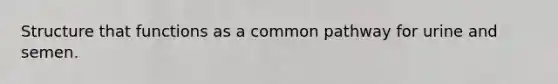 Structure that functions as a common pathway for urine and semen.
