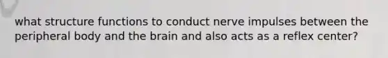 what structure functions to conduct nerve impulses between the peripheral body and <a href='https://www.questionai.com/knowledge/kLMtJeqKp6-the-brain' class='anchor-knowledge'>the brain</a> and also acts as a reflex center?