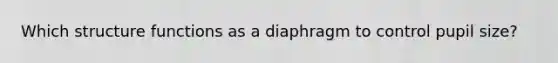 Which structure functions as a diaphragm to control pupil size?