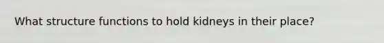 What structure functions to hold kidneys in their place?