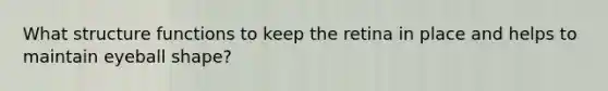 What structure functions to keep the retina in place and helps to maintain eyeball shape?