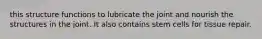 this structure functions to lubricate the joint and nourish the structures in the joint. It also contains stem cells for tissue repair.