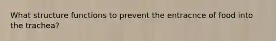 What structure functions to prevent the entracnce of food into the trachea?