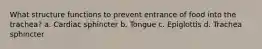 What structure functions to prevent entrance of food into the trachea? a. Cardiac sphincter b. Tongue c. Epiglottis d. Trachea sphincter