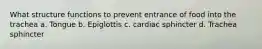 What structure functions to prevent entrance of food into the trachea a. Tongue b. Epiglottis c. cardiac sphincter d. Trachea sphincter