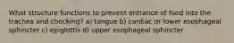 What structure functions to prevent entrance of food into the trachea and chocking? a) tongue b) cardiac or lower esophageal sphincter c) epiglottis d) upper esophageal sphincter