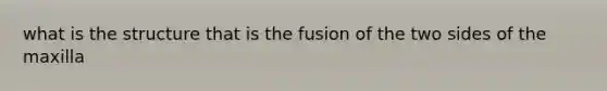 what is the structure that is the fusion of the two sides of the maxilla