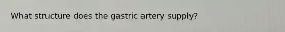 What structure does the gastric artery supply?