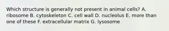 Which structure is generally not present in animal cells? A. ribosome B. cytoskeleton C. cell wall D. nucleolus E. more than one of these F. extracellular matrix G. lysosome