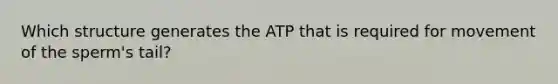 Which structure generates the ATP that is required for movement of the sperm's tail?