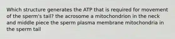 Which structure generates the ATP that is required for movement of the sperm's tail? the acrosome a mitochondrion in the neck and middle piece the sperm plasma membrane mitochondria in the sperm tail