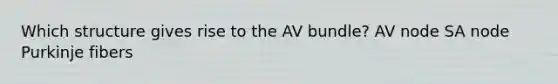 Which structure gives rise to the AV bundle? AV node SA node Purkinje fibers