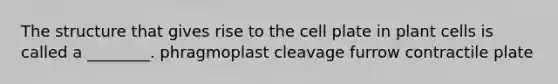 The structure that gives rise to the cell plate in plant cells is called a ________. phragmoplast cleavage furrow contractile plate