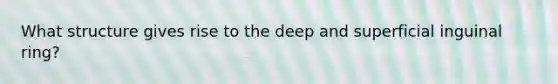 What structure gives rise to the deep and superficial inguinal ring?