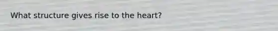 What structure gives rise to the heart?