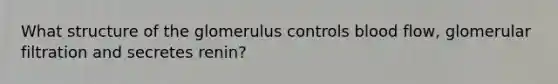 What structure of the glomerulus controls blood flow, glomerular filtration and secretes renin?