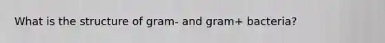 What is the structure of gram- and gram+ bacteria?
