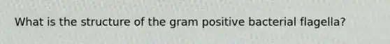 What is the structure of the gram positive bacterial flagella?