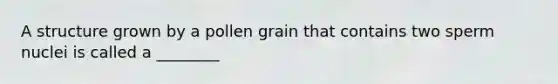 A structure grown by a pollen grain that contains two sperm nuclei is called a ________