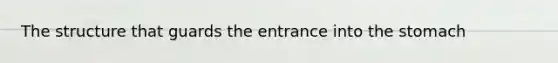 The structure that guards the entrance into <a href='https://www.questionai.com/knowledge/kLccSGjkt8-the-stomach' class='anchor-knowledge'>the stomach</a>