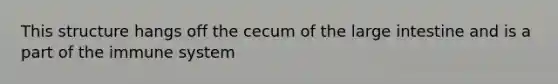 This structure hangs off the cecum of the large intestine and is a part of the immune system