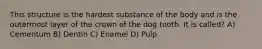This structure is the hardest substance of the body and is the outermost layer of the crown of the dog tooth. It is called? A) Cementum B) Dentin C) Enamel D) Pulp