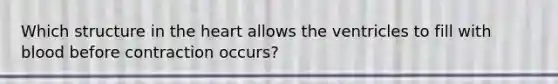 Which structure in the heart allows the ventricles to fill with blood before contraction occurs?