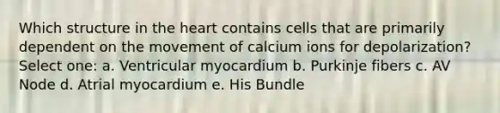 Which structure in the heart contains cells that are primarily dependent on the movement of calcium ions for depolarization? Select one: a. Ventricular myocardium b. Purkinje fibers c. AV Node d. Atrial myocardium e. His Bundle