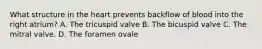 What structure in the heart prevents backflow of blood into the right atrium? A. The tricuspid valve B. The bicuspid valve C. The mitral valve. D. The foramen ovale