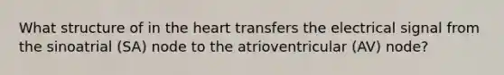 What structure of in the heart transfers the electrical signal from the sinoatrial (SA) node to the atrioventricular (AV) node?