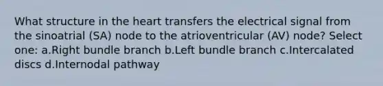 What structure in the heart transfers the electrical signal from the sinoatrial (SA) node to the atrioventricular (AV) node? Select one: a.Right bundle branch b.Left bundle branch c.Intercalated discs d.Internodal pathway