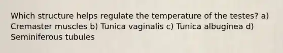 Which structure helps regulate the temperature of the testes? a) Cremaster muscles b) Tunica vaginalis c) Tunica albuginea d) Seminiferous tubules