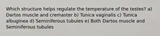 Which structure helps regulate the temperature of the testes? a) Dartos muscle and cremaster b) Tunica vaginalis c) Tunica albuginea d) Seminiferous tubules e) Both Dartos muscle and Seminiferous tubules