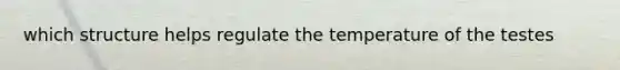 which structure helps regulate the temperature of the testes