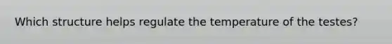 Which structure helps regulate the temperature of the testes?