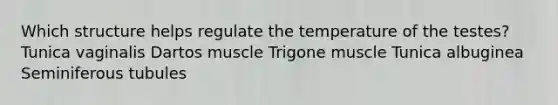 Which structure helps regulate the temperature of the testes? Tunica vaginalis Dartos muscle Trigone muscle Tunica albuginea Seminiferous tubules