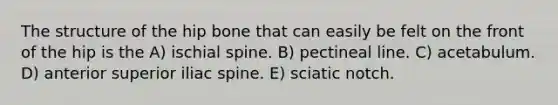 The structure of the hip bone that can easily be felt on the front of the hip is the A) ischial spine. B) pectineal line. C) acetabulum. D) anterior superior iliac spine. E) sciatic notch.