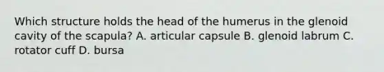 Which structure holds the head of the humerus in the glenoid cavity of the scapula? A. articular capsule B. glenoid labrum C. rotator cuff D. bursa