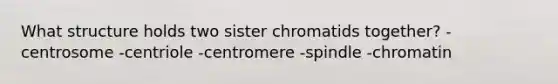 What structure holds two sister chromatids together? -centrosome -centriole -centromere -spindle -chromatin