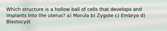 Which structure is a hollow ball of cells that develops and implants into the uterus? a) Morula b) Zygote c) Embryo d) Blastocyst