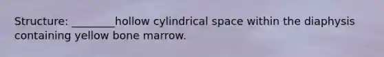 Structure: ________hollow cylindrical space within the diaphysis containing yellow bone marrow.