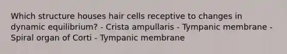 Which structure houses hair cells receptive to changes in dynamic equilibrium? - Crista ampullaris - Tympanic membrane - Spiral organ of Corti - Tympanic membrane