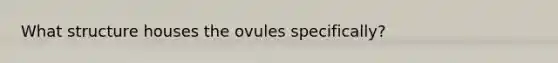 What structure houses the ovules specifically?