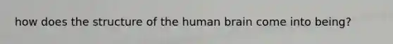how does the structure of the human brain come into being?