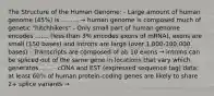 The Structure of the Human Genome: - Large amount of human genome (45%) is ......... → human genome is composed much of genetic "hitchhikers" - Only small part of human genome encodes ....... (less than 3% encodes exons of mRNA), exons are small (150 bases) and introns are large (over 1,000-100,000 bases) - Transcripts are composed of ab 10 exons → introns can be spliced out of the same gene in locations that vary which generates ...... - cDNA and EST (expressed sequence tag) data: at least 60% of human protein-coding genes are likely to share 2+ splice variants →